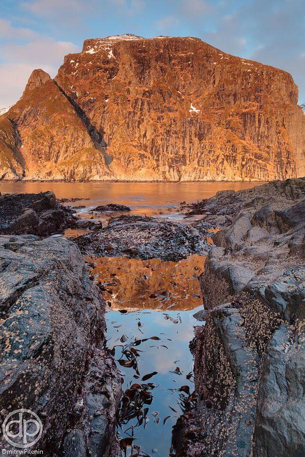 , Питенин Дмитрий