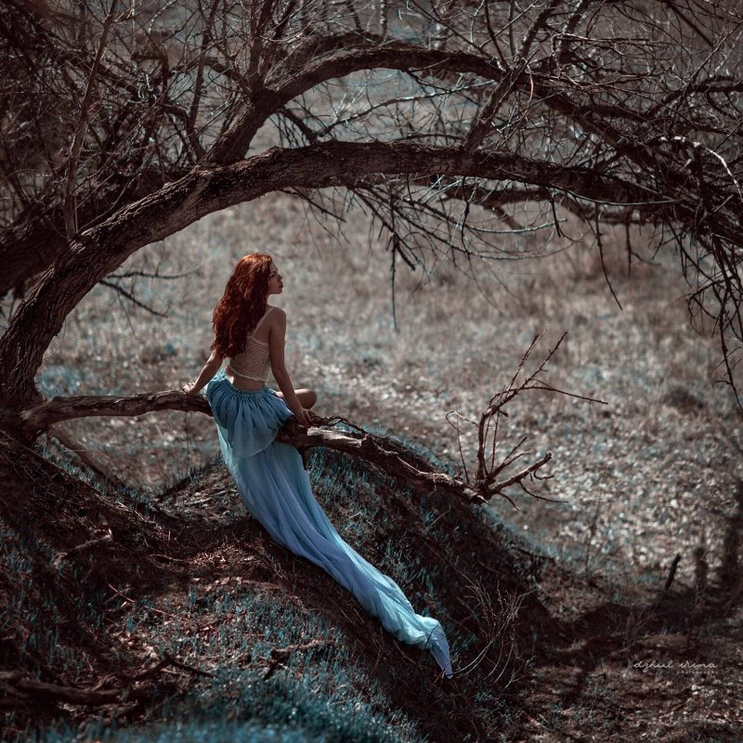 Canon, Canon 85mm, Canon eos 5d mark ii, Girl, People, Photo, Photography, Photoshop, Portrait, Tree, Ирина Джуль