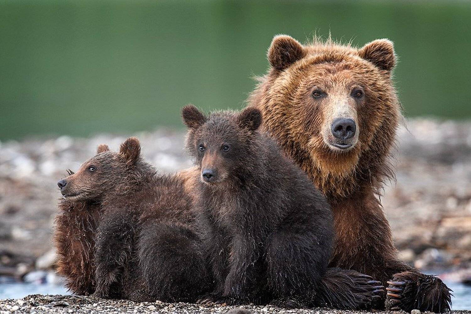 , Сергей Иванов
