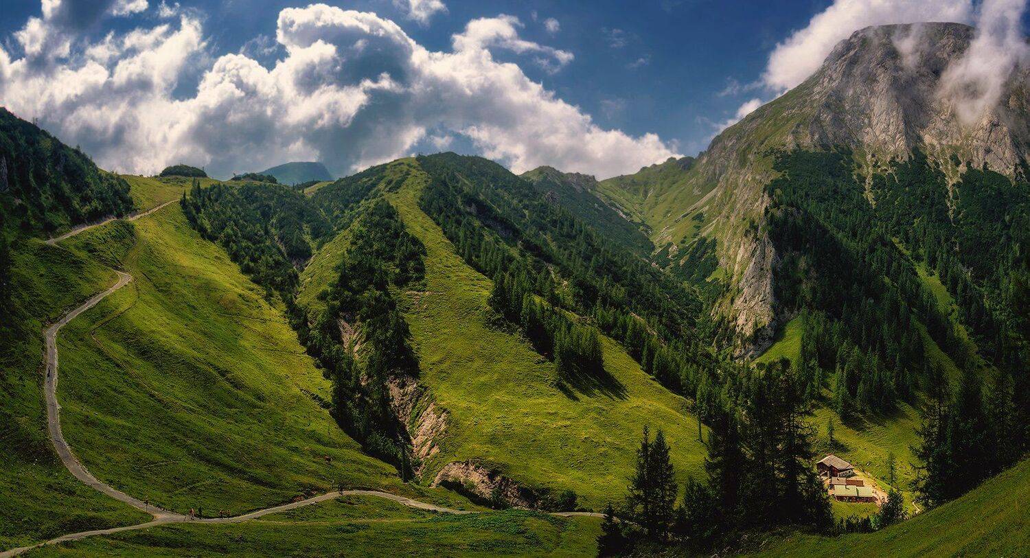 , Игорь Мелекесцев