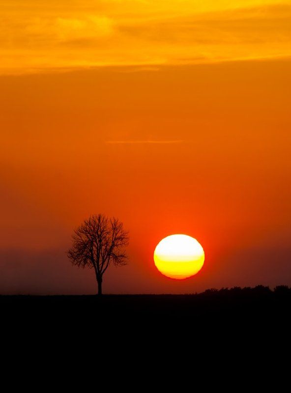 sunset фото превью