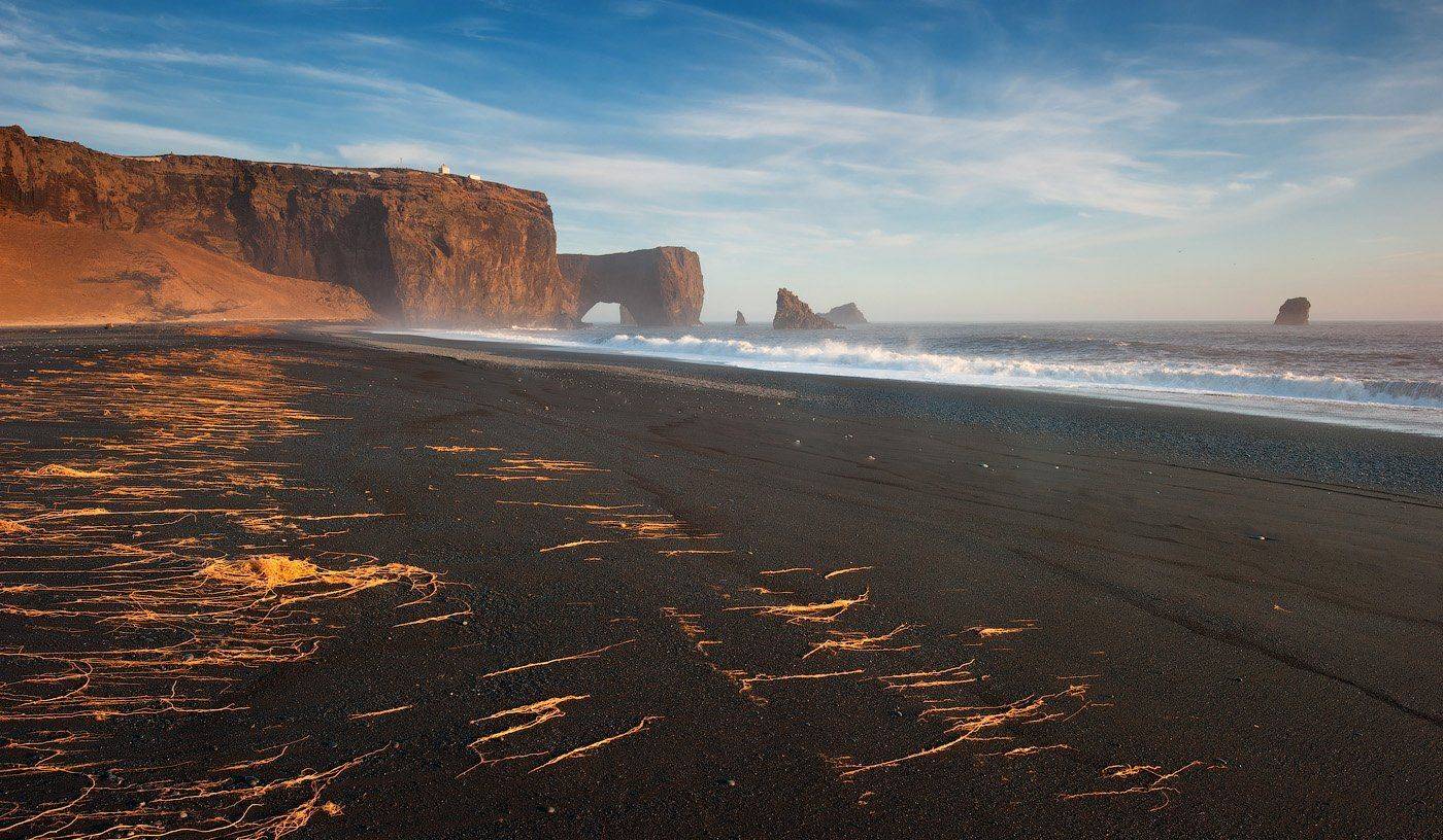 , Андрей Ведерников