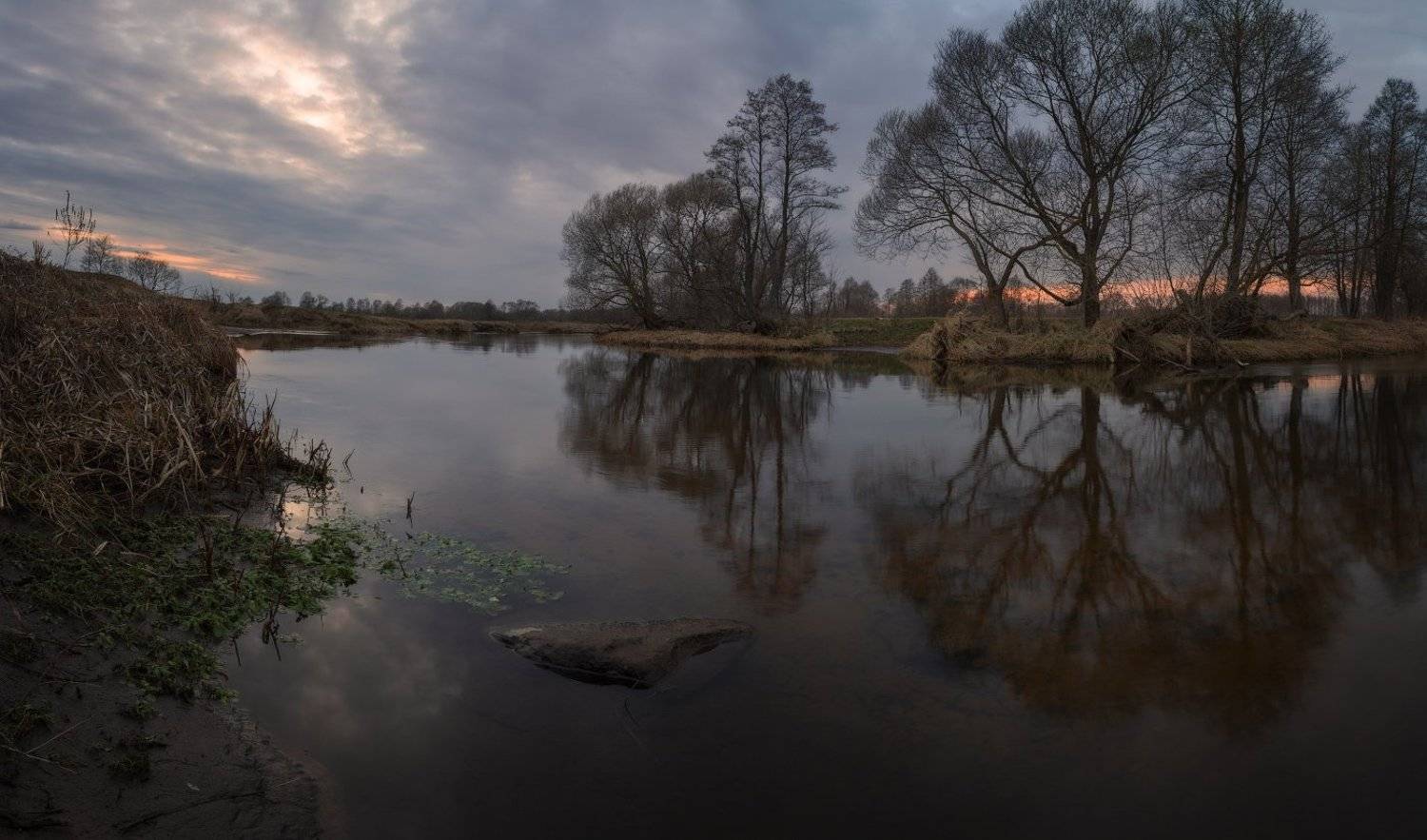 , Михаил Кушнер