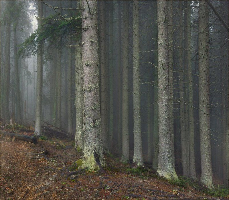 Мистика Карпат фото превью