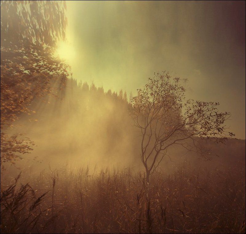 Встреча в бесконечности фото превью