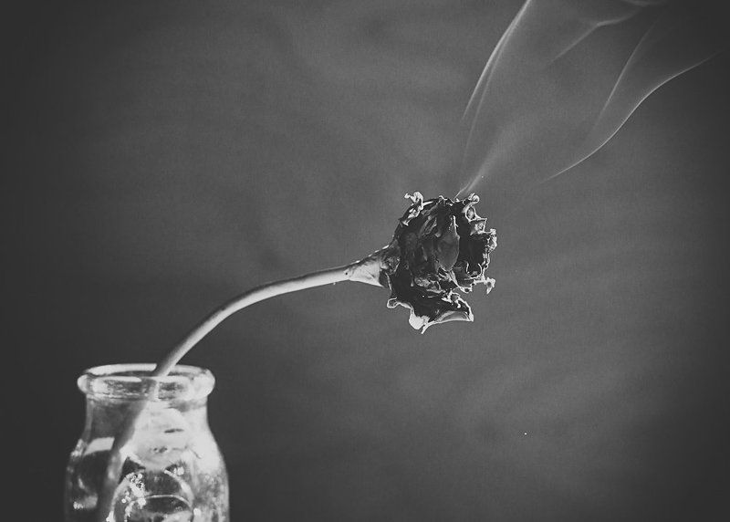 ... фото превью