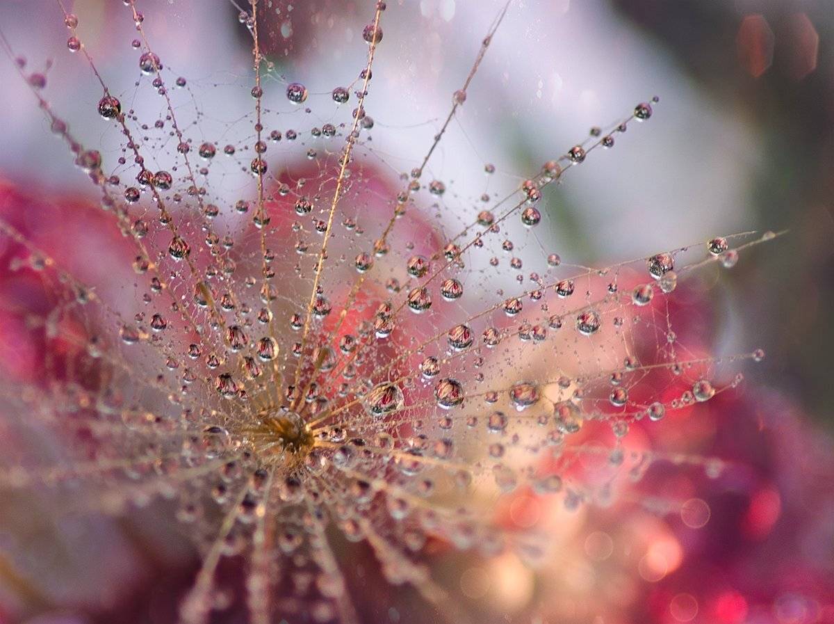 , Таня  Маркова