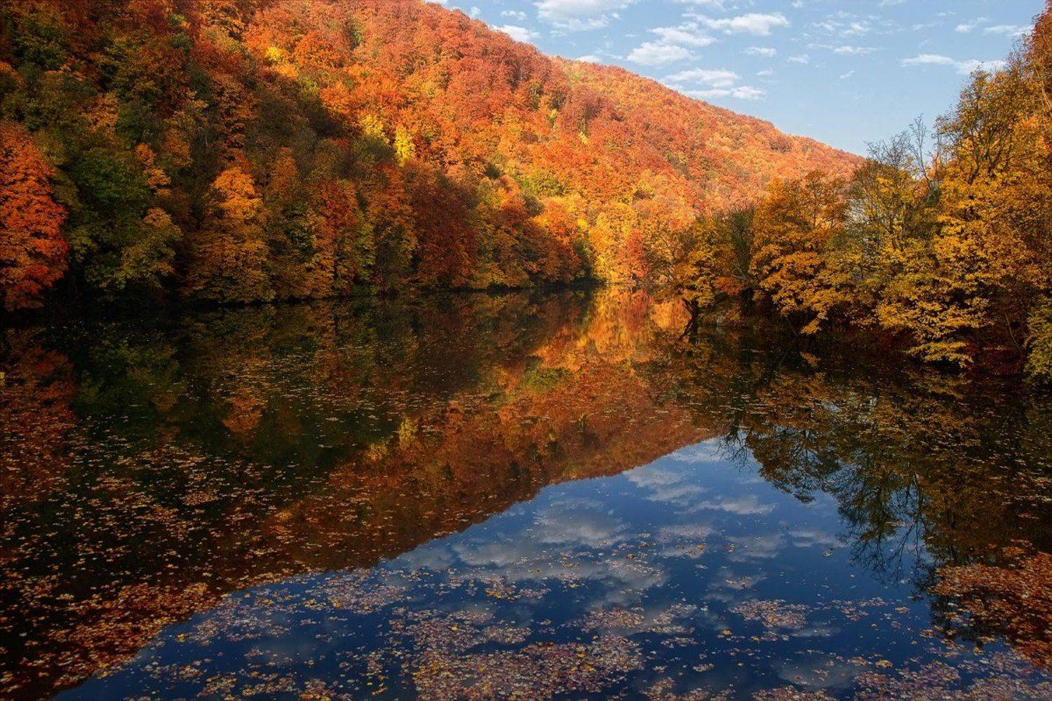 , Bogn&aacute;r P&eacute;ter