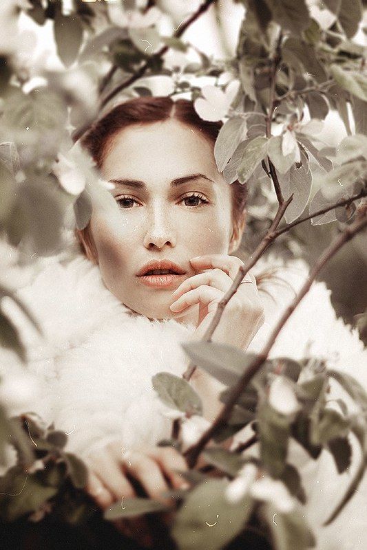 *** фото превью