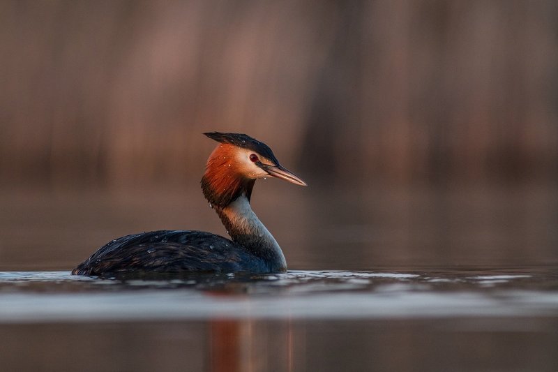 d> фото превью