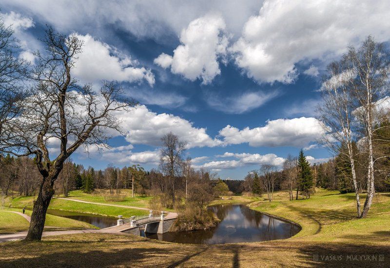 В Павловском парке ... фото превью