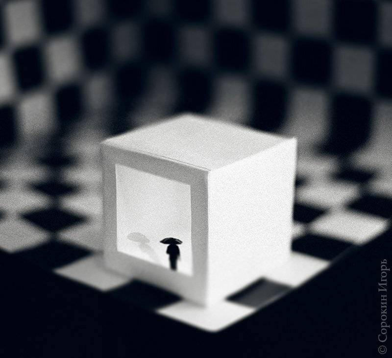 , Игорь Сорокин