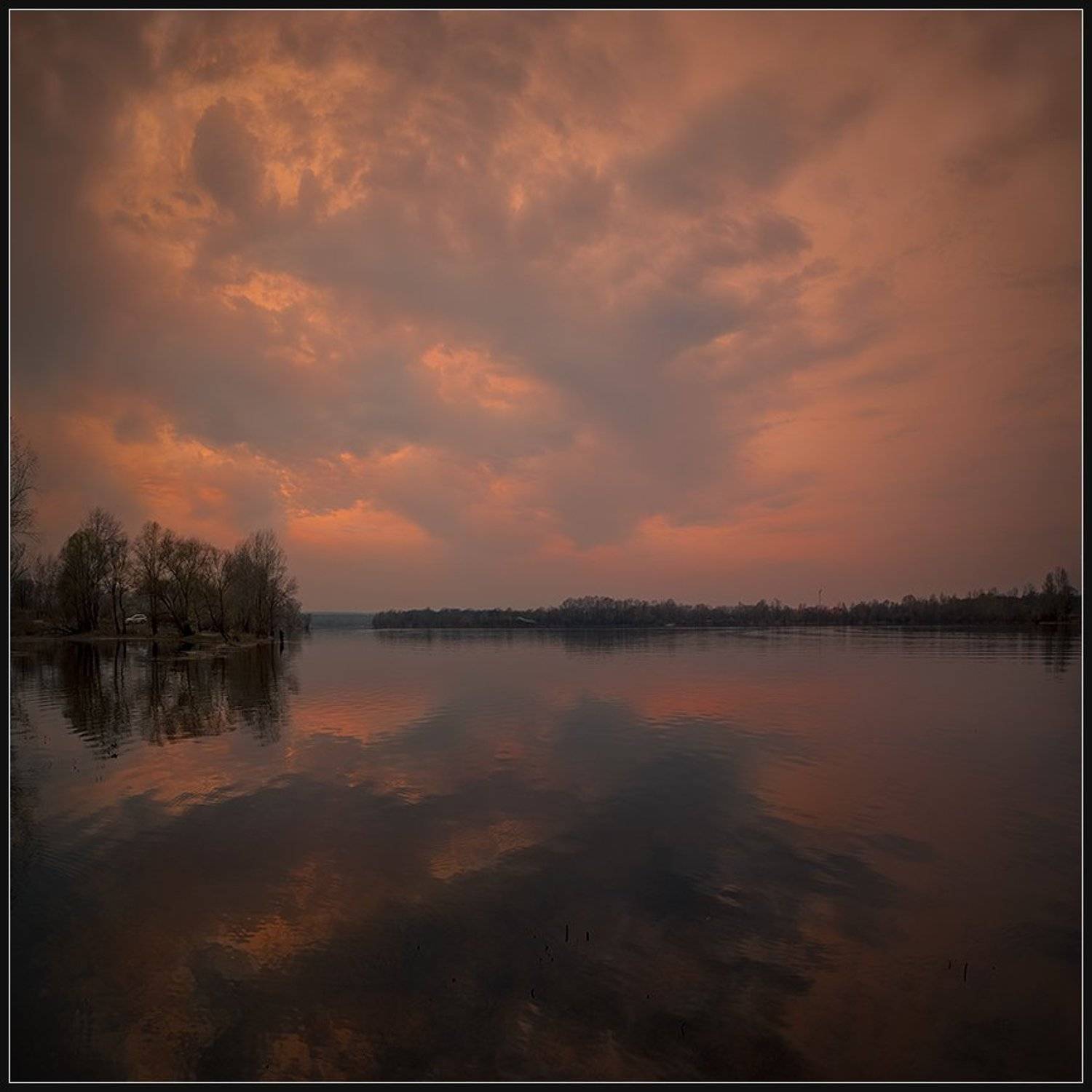 , Алексей Соловей