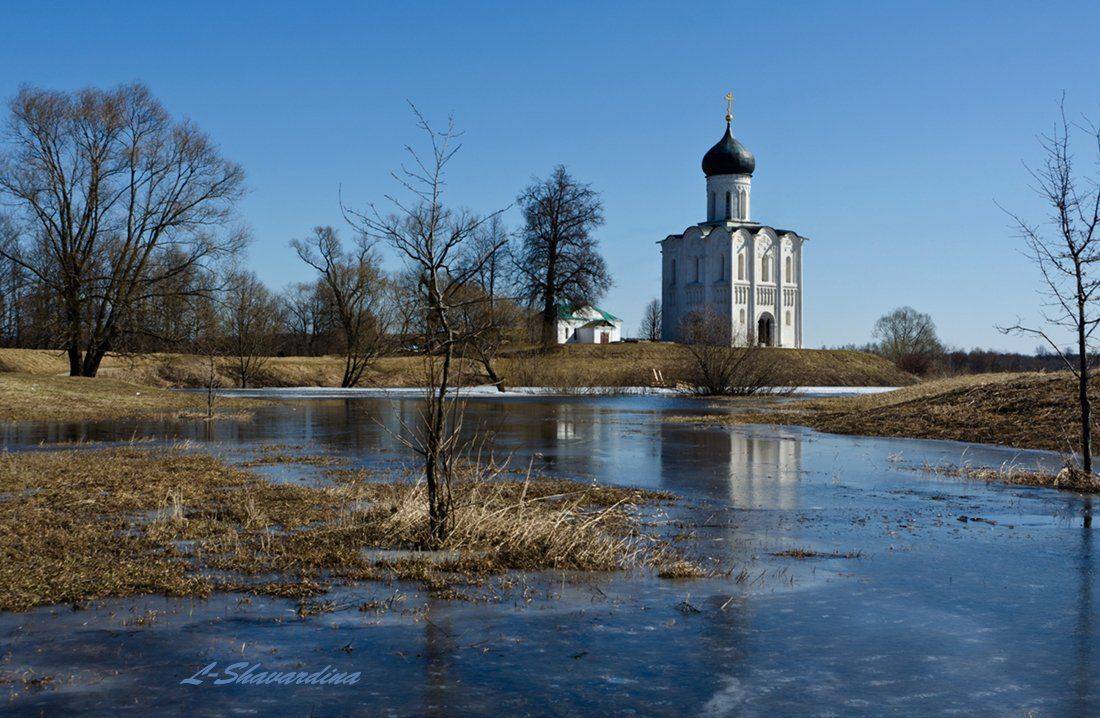 , Елизавета Шавардина