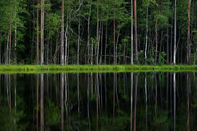 Равновесие фото превью