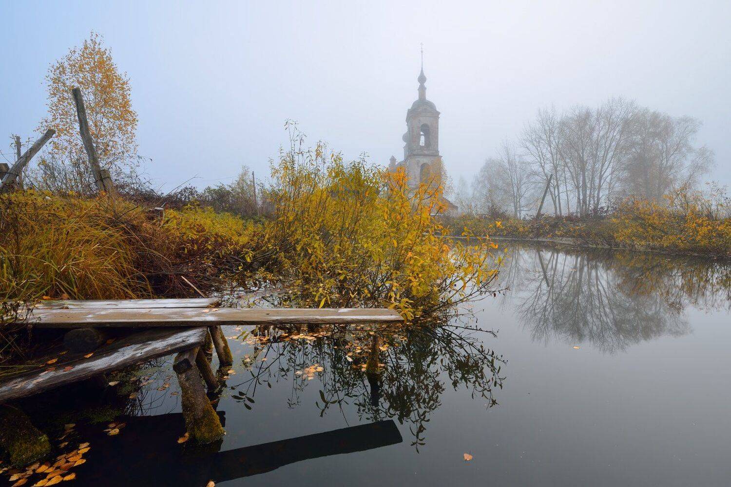 , Максим Евдокимов