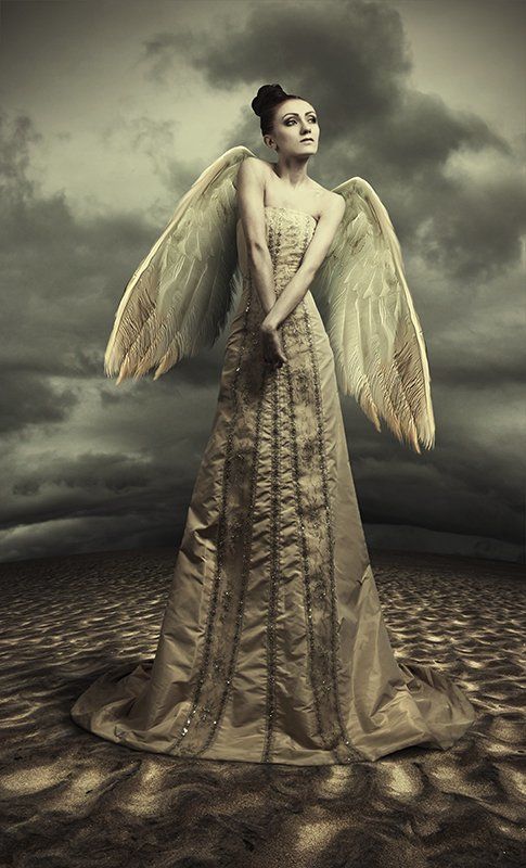 angel фото превью