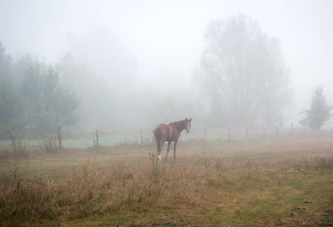 , Валерий Смирнов