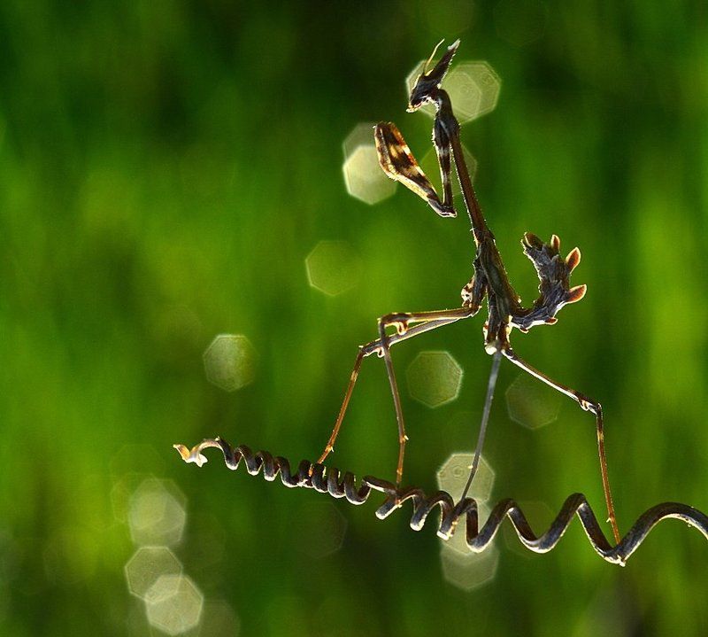 küçük öyküler фото превью