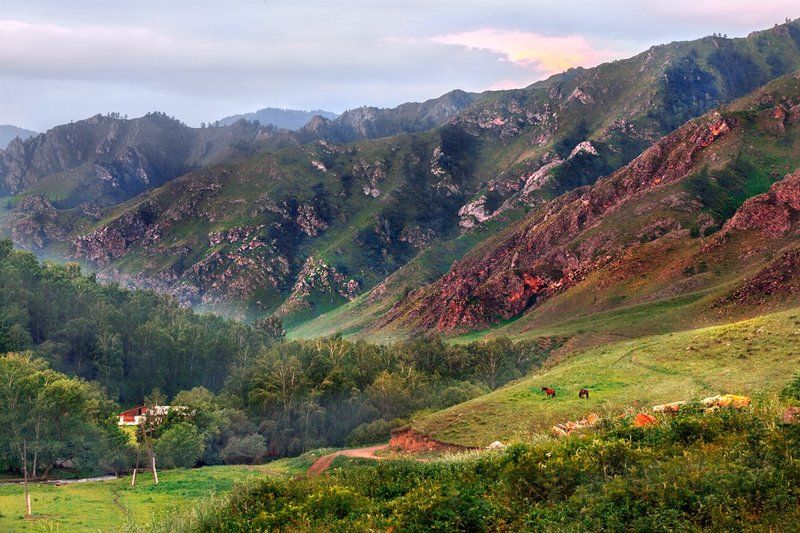 Altay Morning фото превью