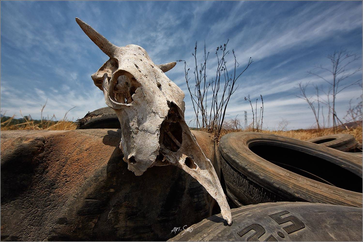 , Смольников Игорь