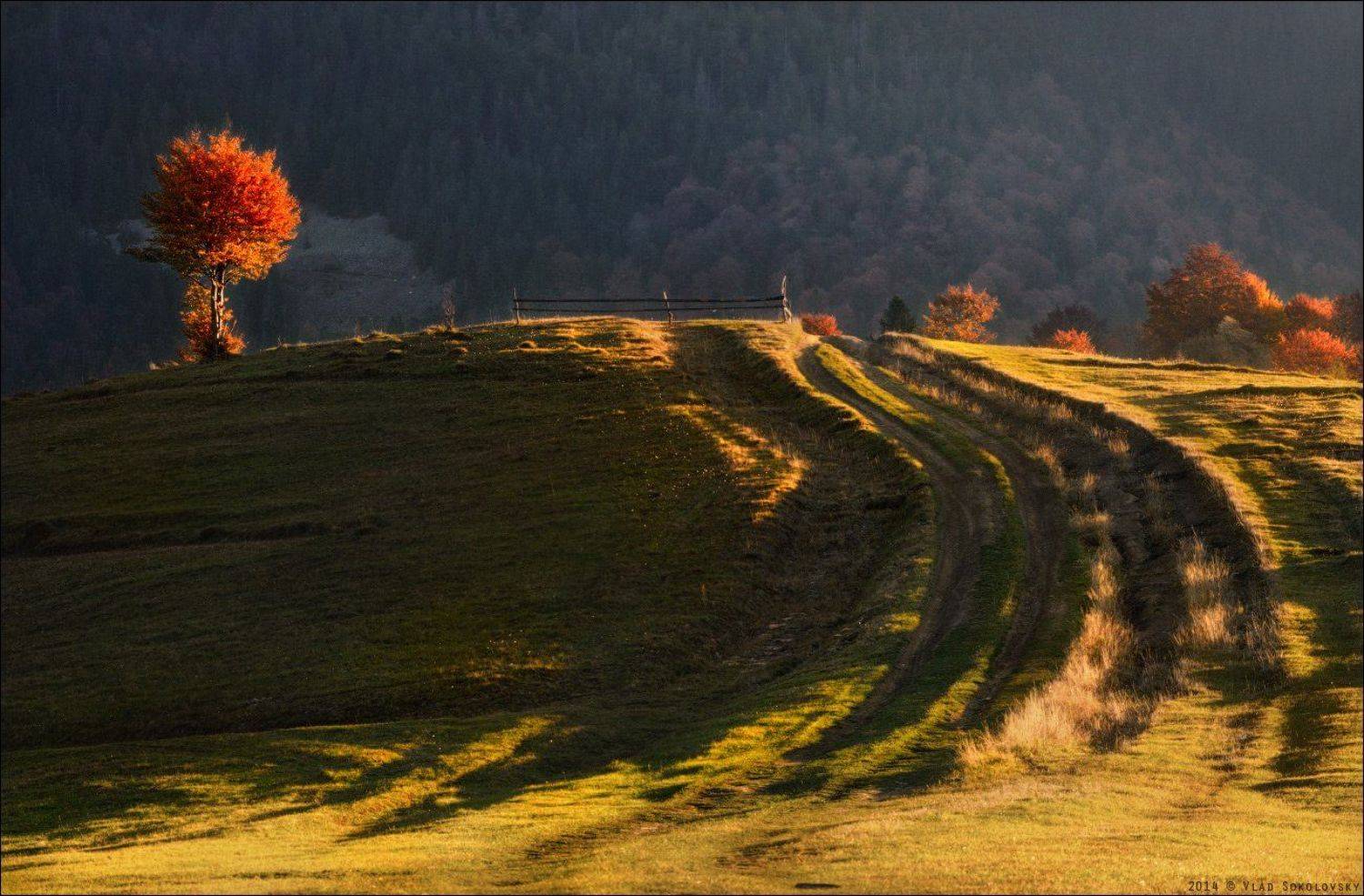 Закарпатье, Карпати, Карпаты, Межгорье, Осень, Поворот, Свет, Влад Соколовский