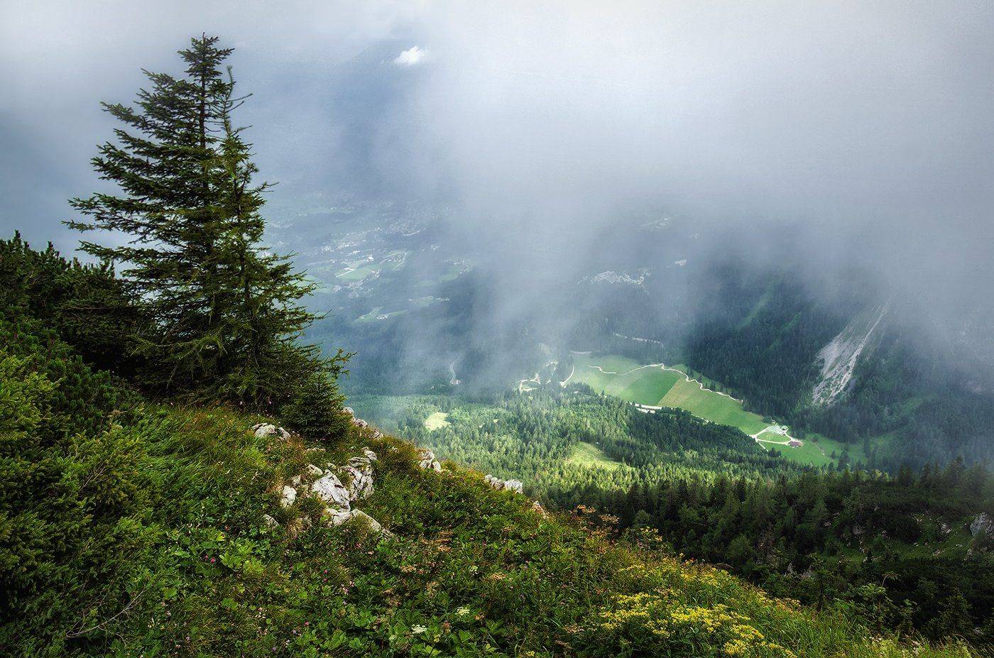 , Игорь Мелекесцев