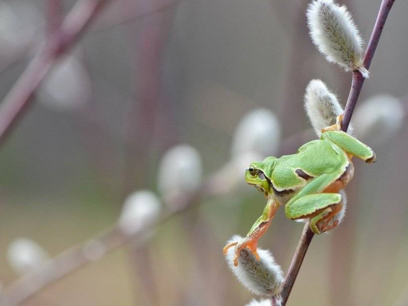 , Вячеслав Мищенко
