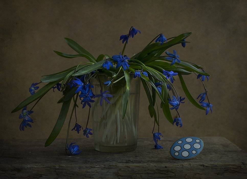 , Петрова Татьяна