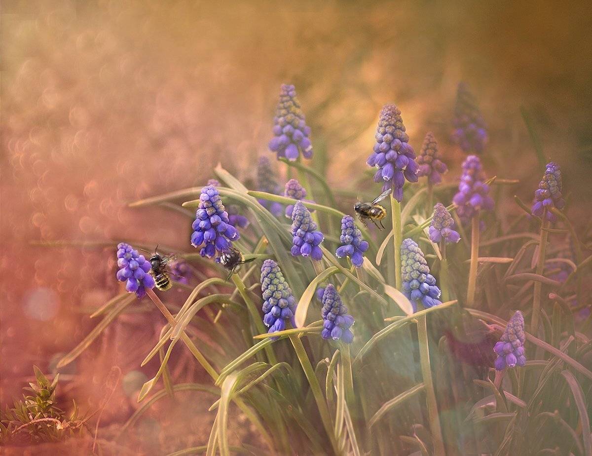 , Таня  Маркова