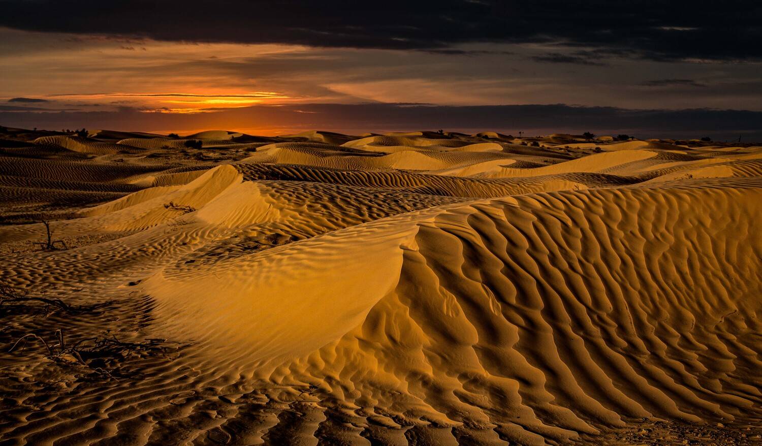 , Назаров Александр