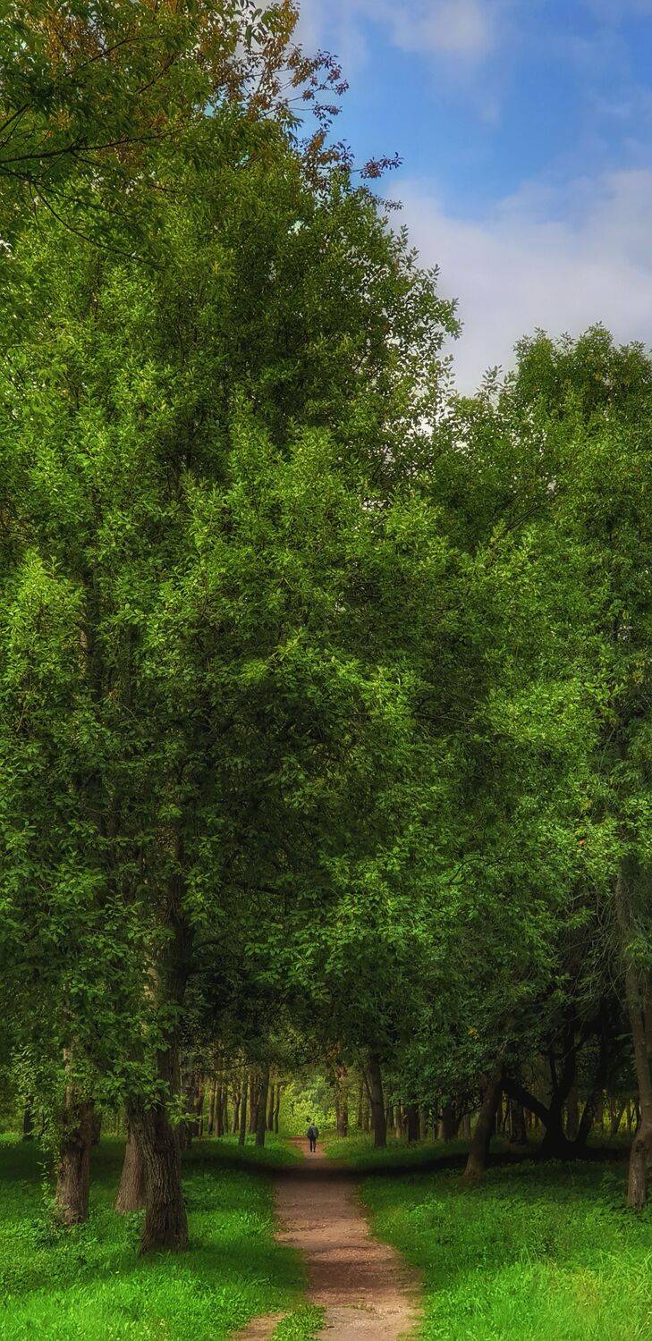 Аэрофото пейзаж город креативное необычное дрон река небо интересное профессиональное облака лето , Sergey Shevtsov