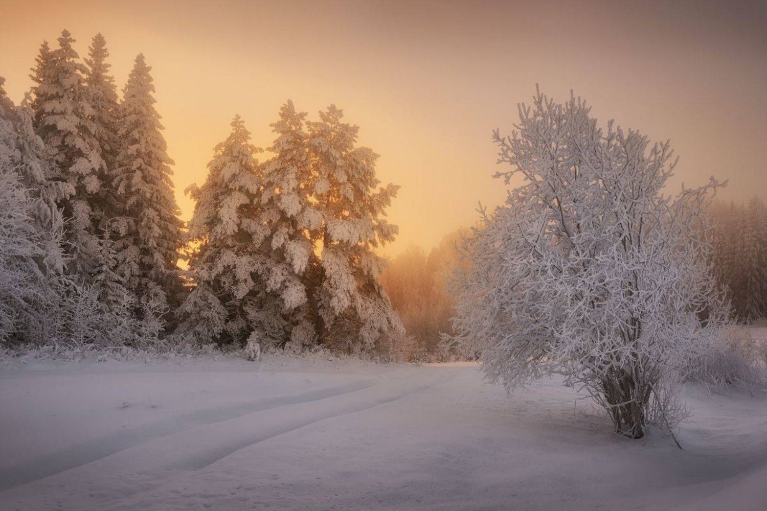 зима, холод, рассвет, Дмитрий Медянцев
