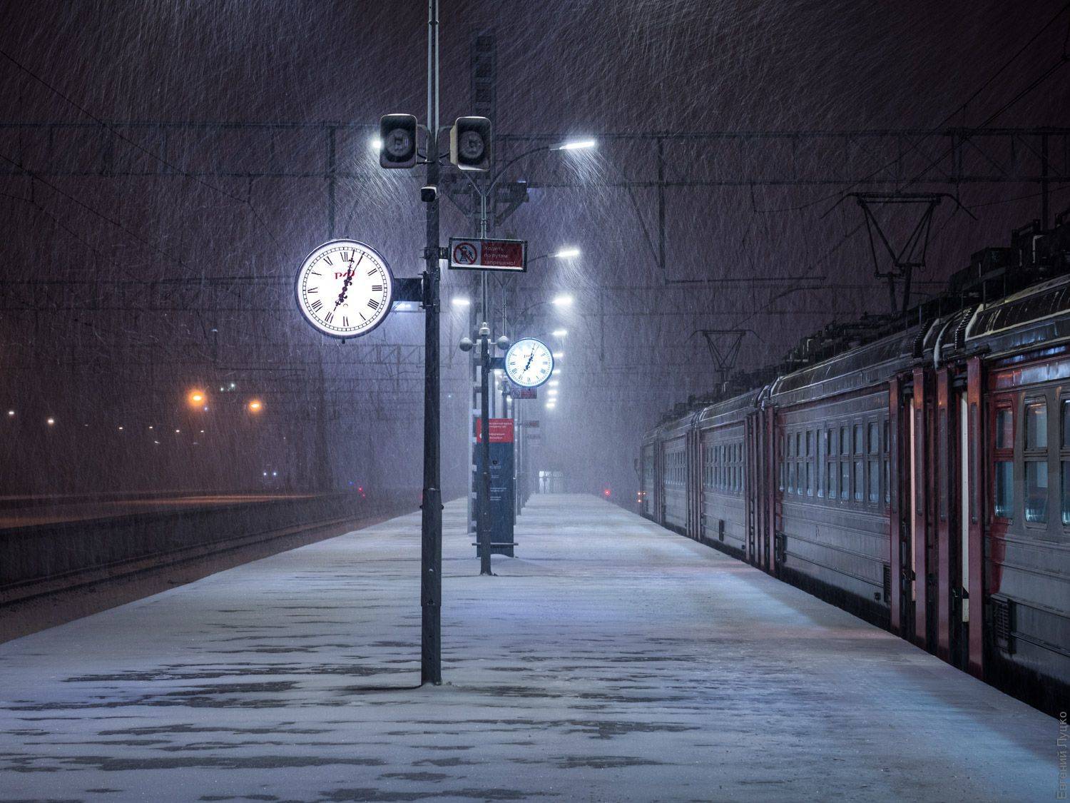 , Евгений Луцко