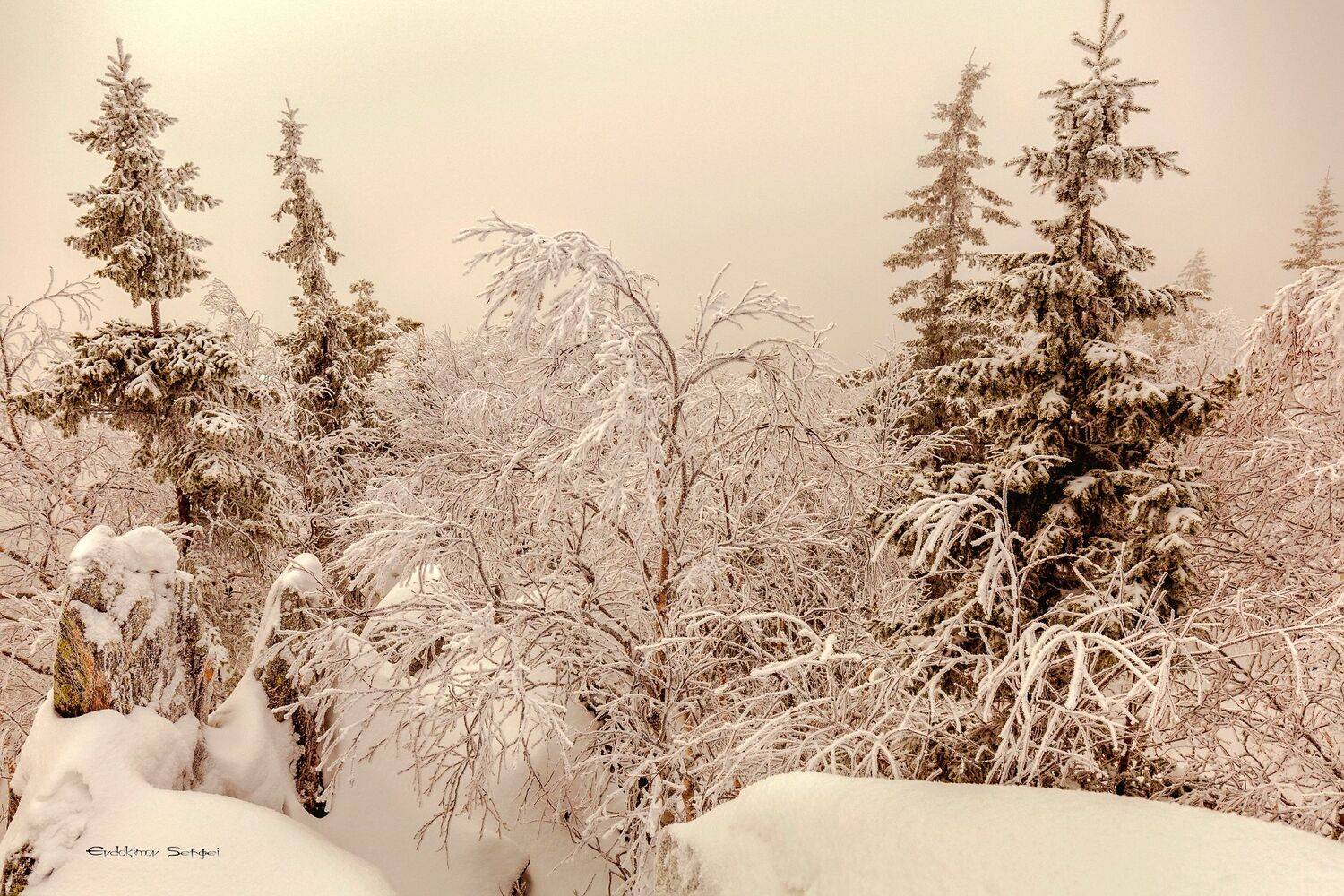 , Сергей Евдокимов