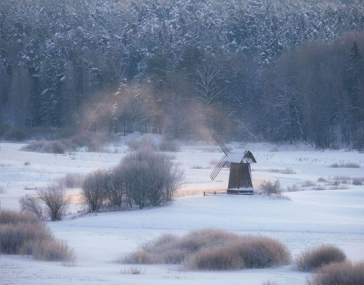 , Светлана Краюшкина
