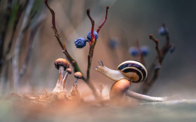 Не все дороги гладкие... фото превью