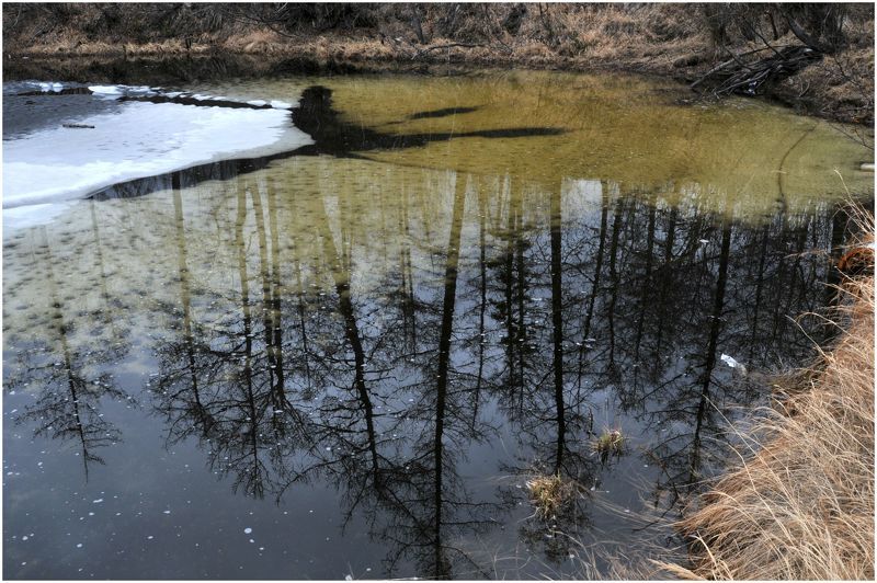 Отражение фото превью