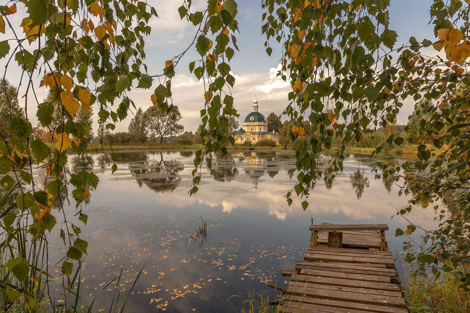 Московкая область, Елена Гусева