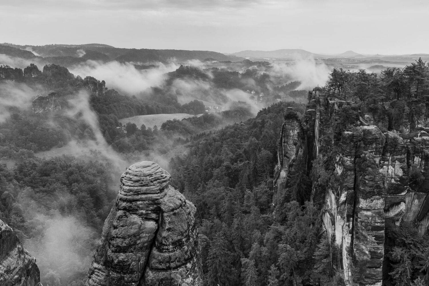 , Евгения Чех