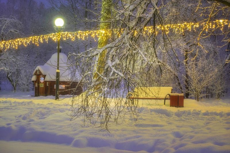 красногорск Зимний парк II фото превью