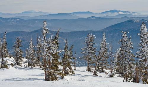 Таежные дали