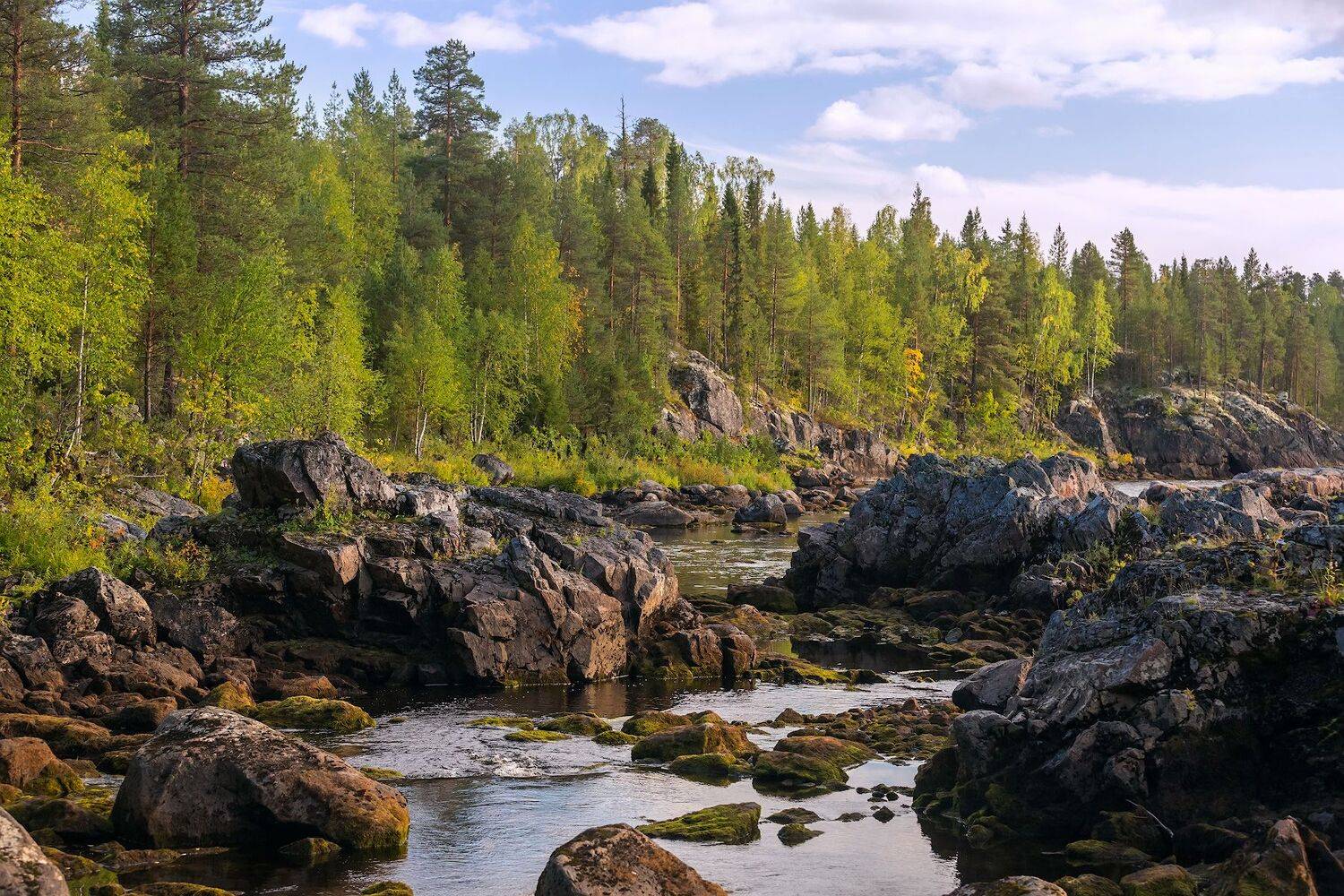 карелия, Ярослав Лукьянов