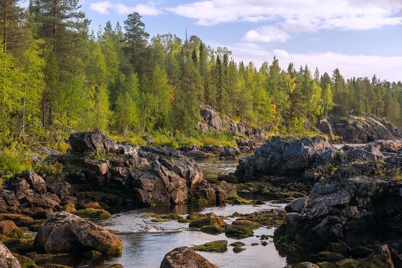 карелия каменные джунгли фото превью