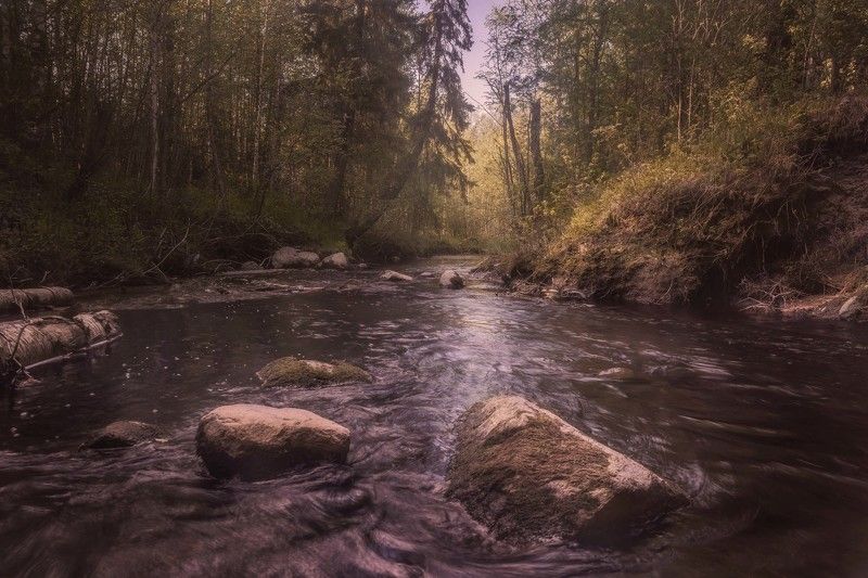 Северная речка Пележма фото превью