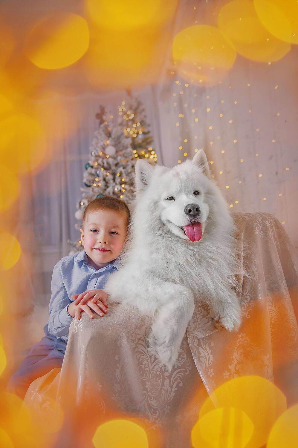 , Ксения Лысенкова