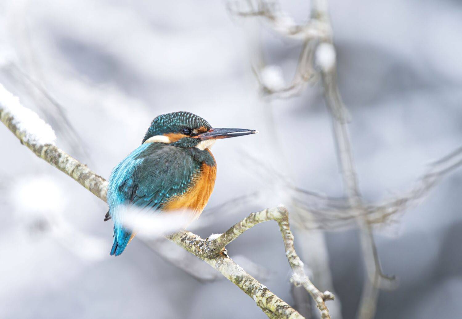 , Юрий Кулаков