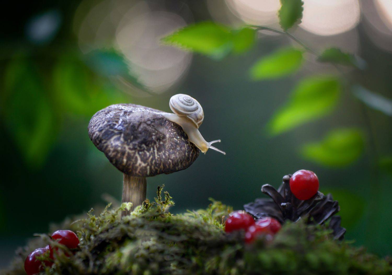 , Быканова Виктория