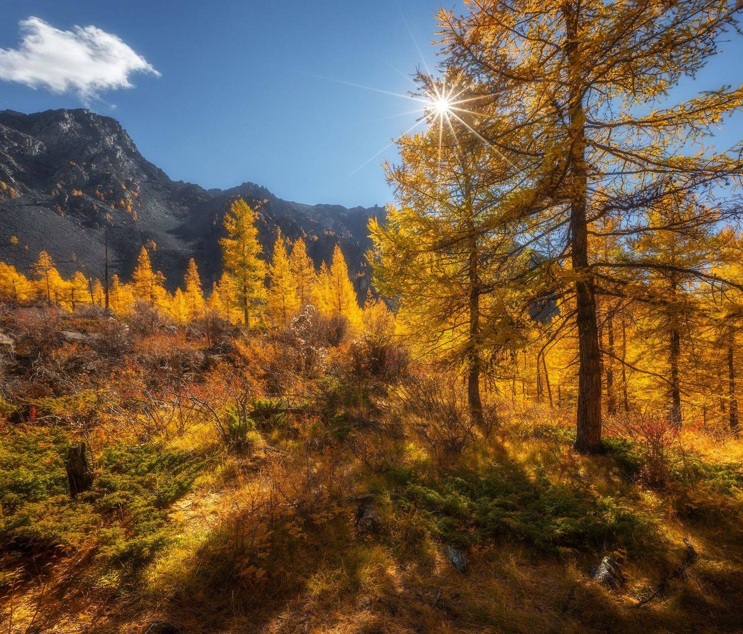 алтай, горы, осень, Алексей Марголин