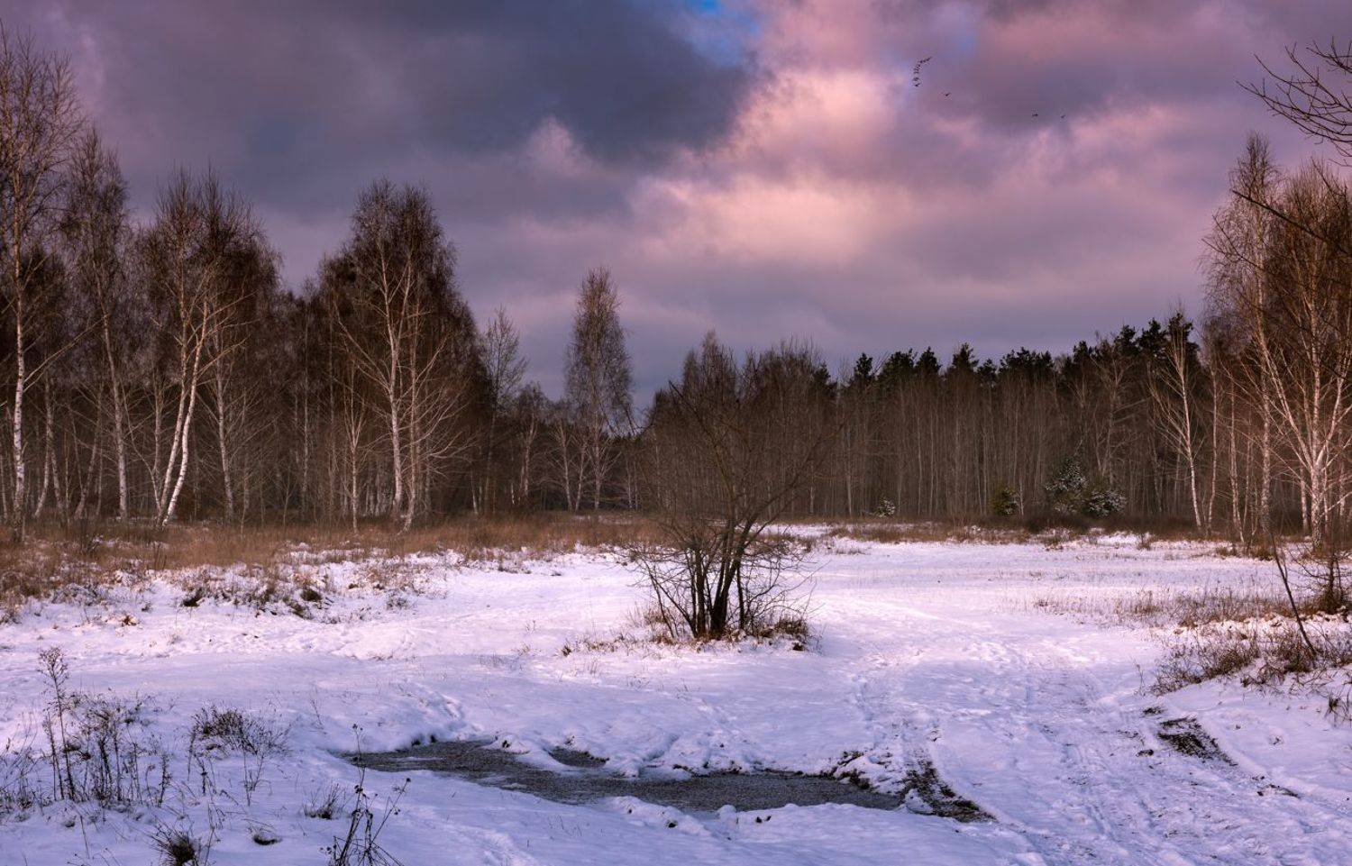 луг зима декабрь закат, Галанзовская Оксана